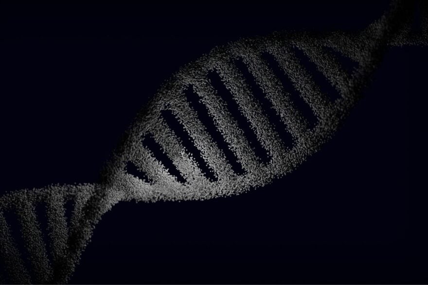 Des erreurs de l’ADN qui n’en étaient pas : des scientifiques découvrent une couche cachée de notre génome