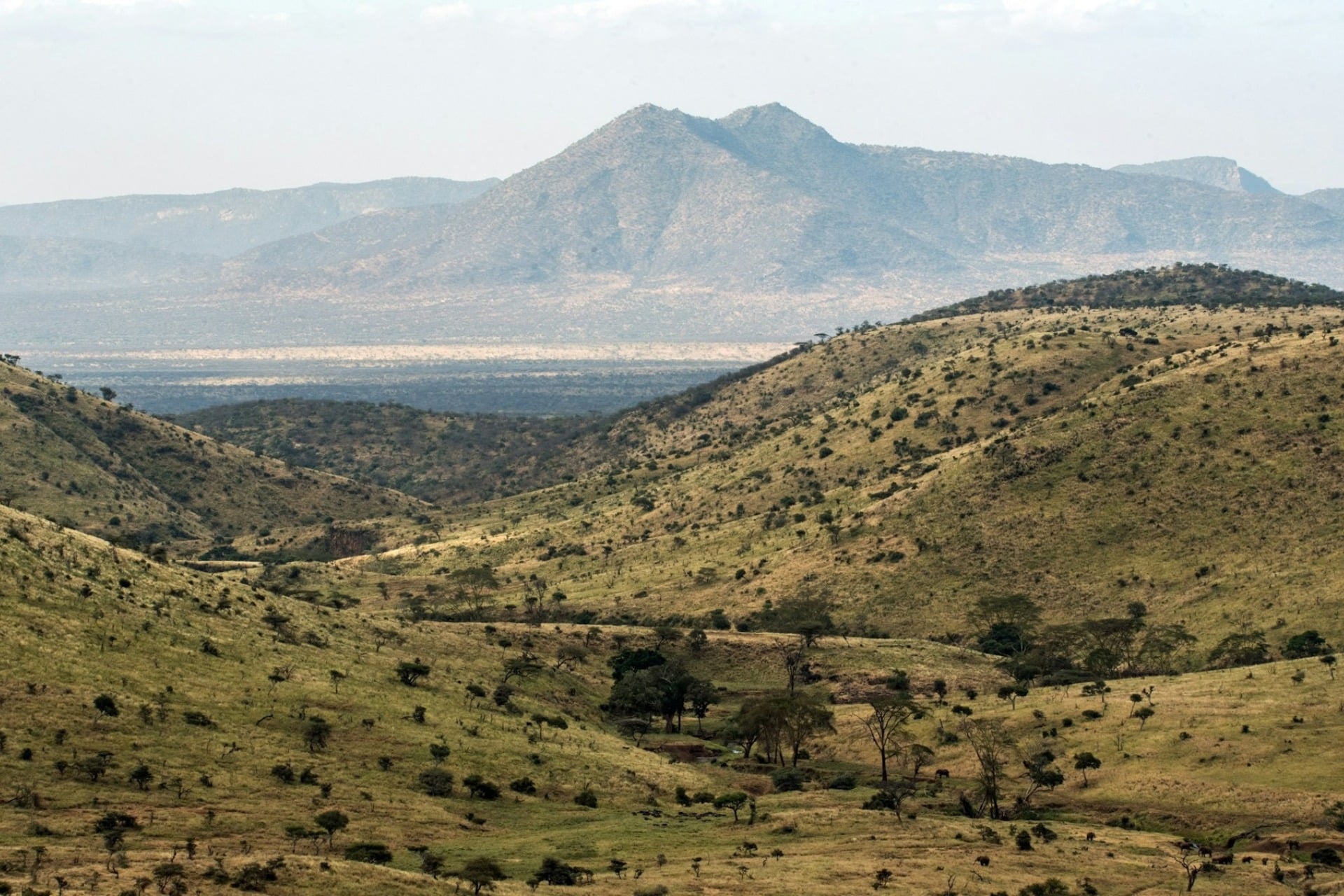 Afrique De L'est (kenya)