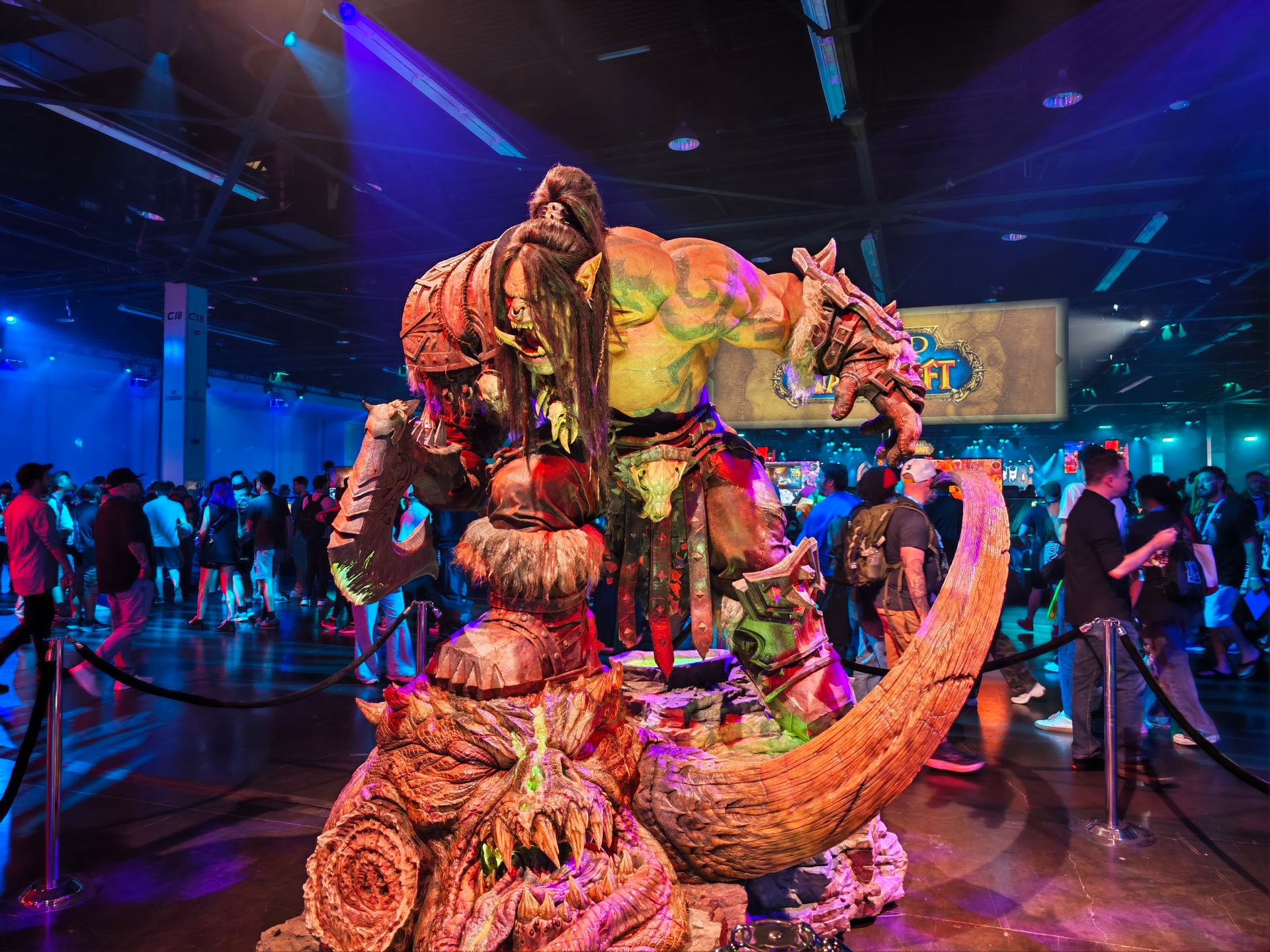 Blizzcon (15)