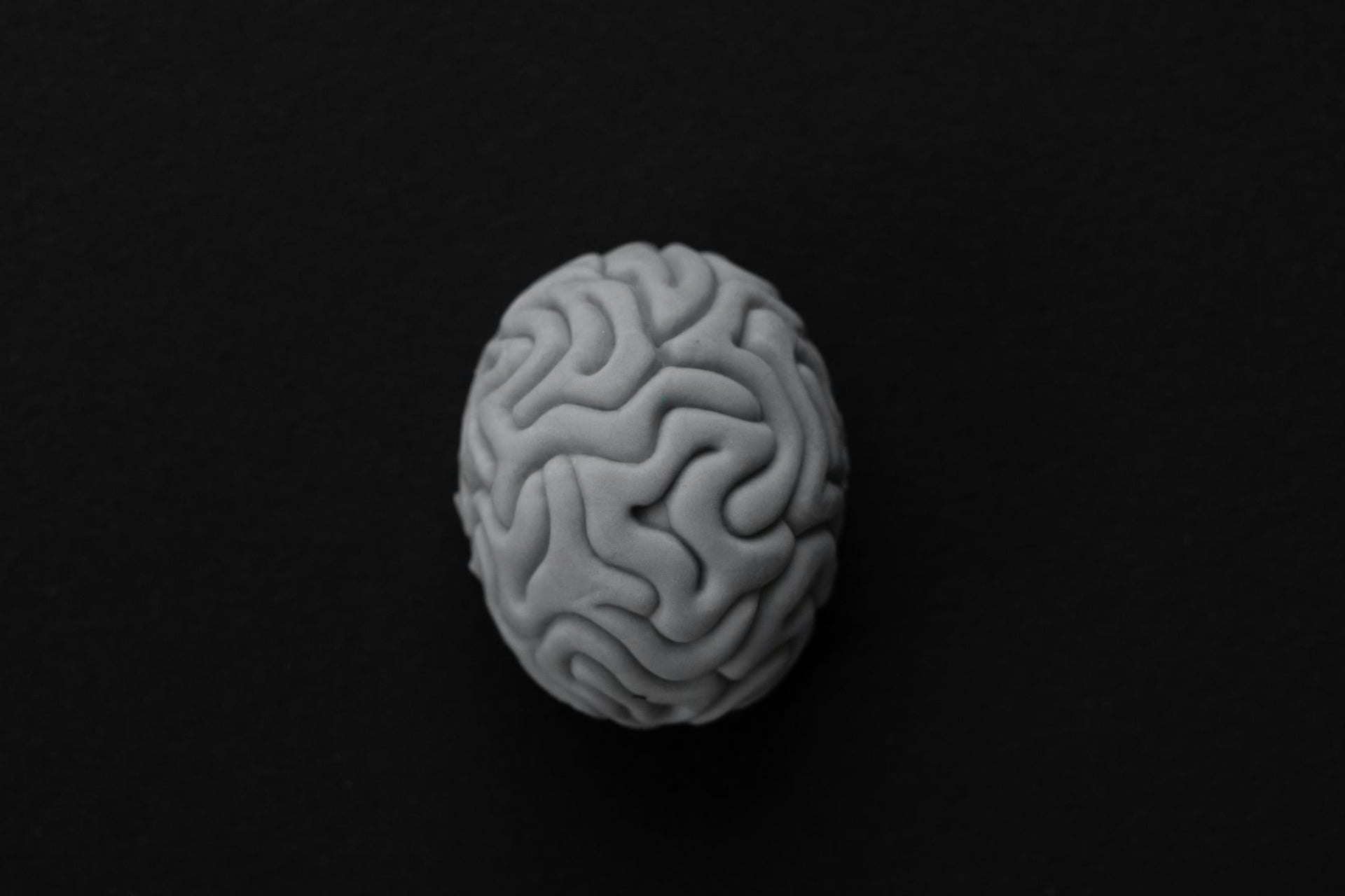 Cerveau, Mémoire
