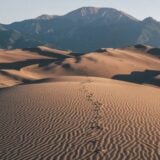 Désert Du Mojave