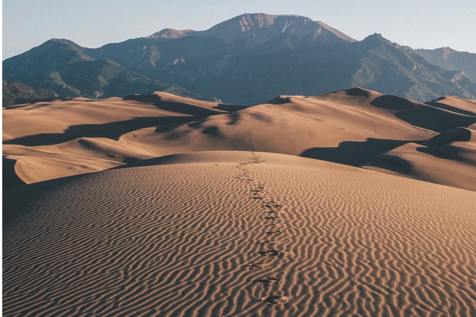 Désert Du Mojave