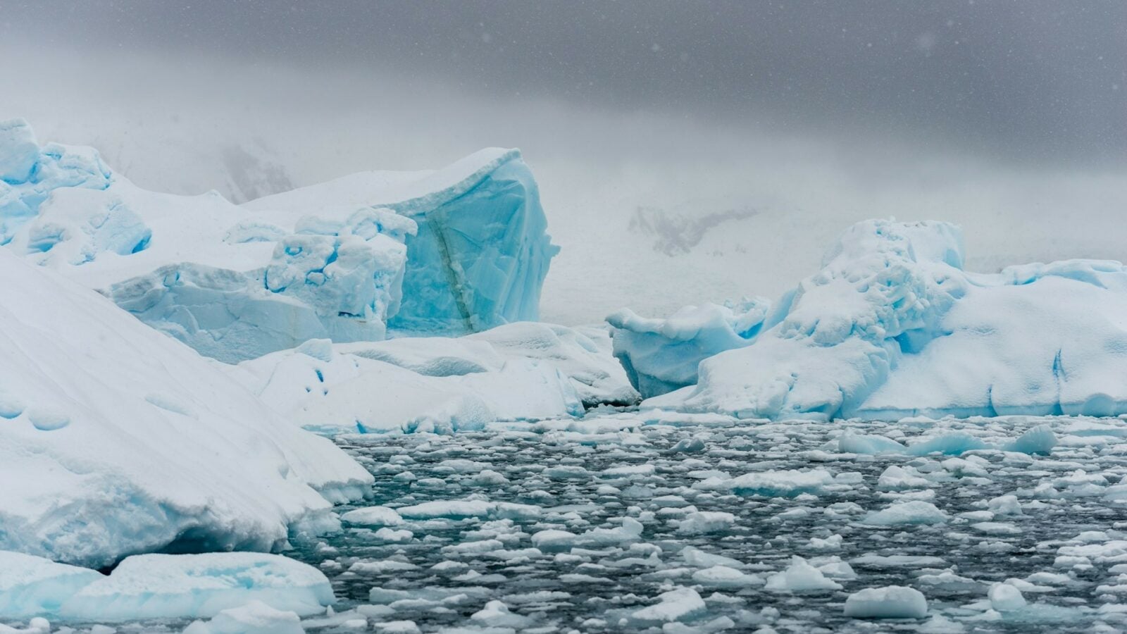 + 3,14 cm : le niveau de la mer augmente, 11 300 milliards de tonnes de glace ont été libérées par le Groenland et l’Antarctique