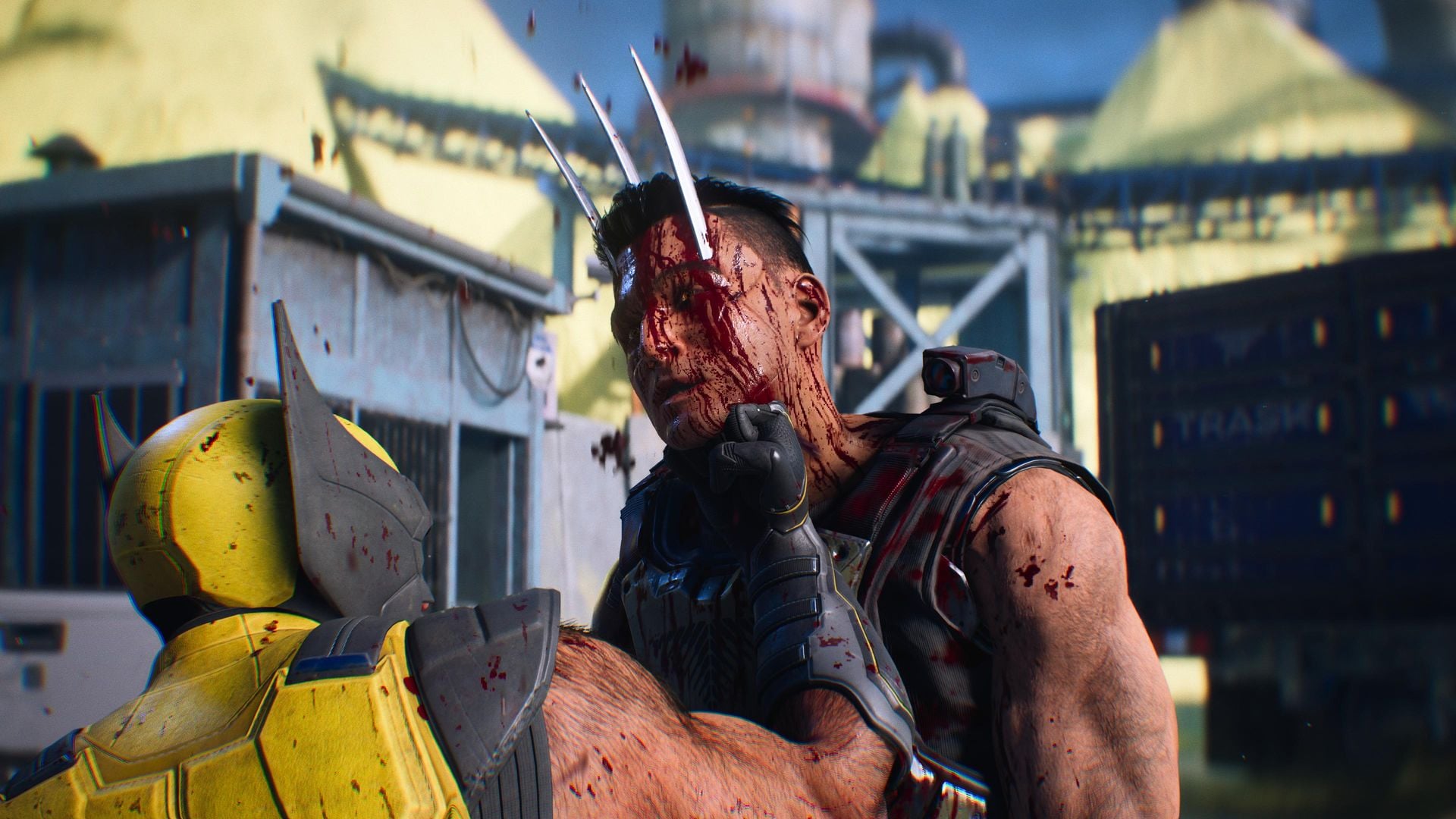 Wolverine (10)