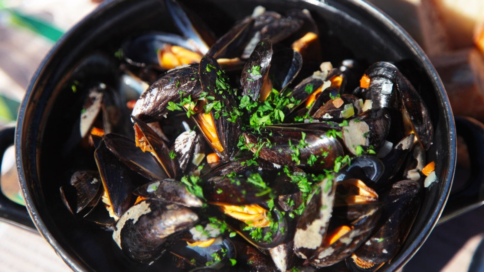 Les moules françaises sont de plus en plus petites : pourquoi la filière est aux abois