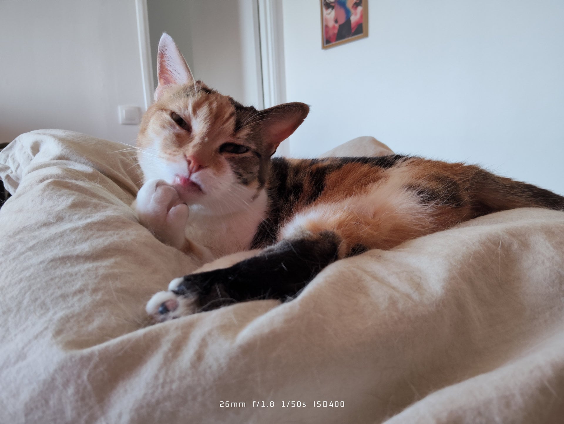 Xiaomi Redmi Note 17 Pro Exemple Photo (1)