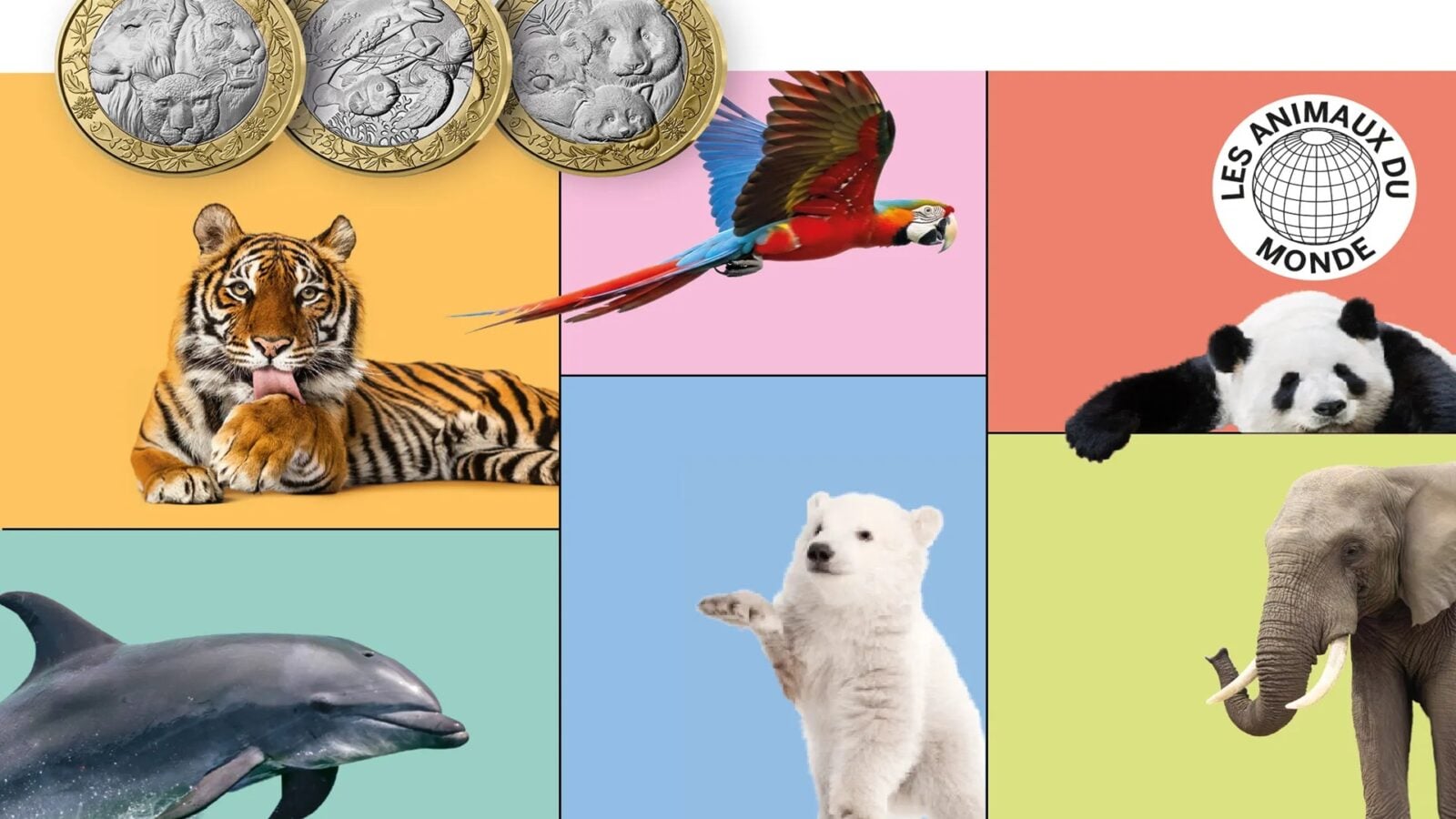 Illustration de l'article