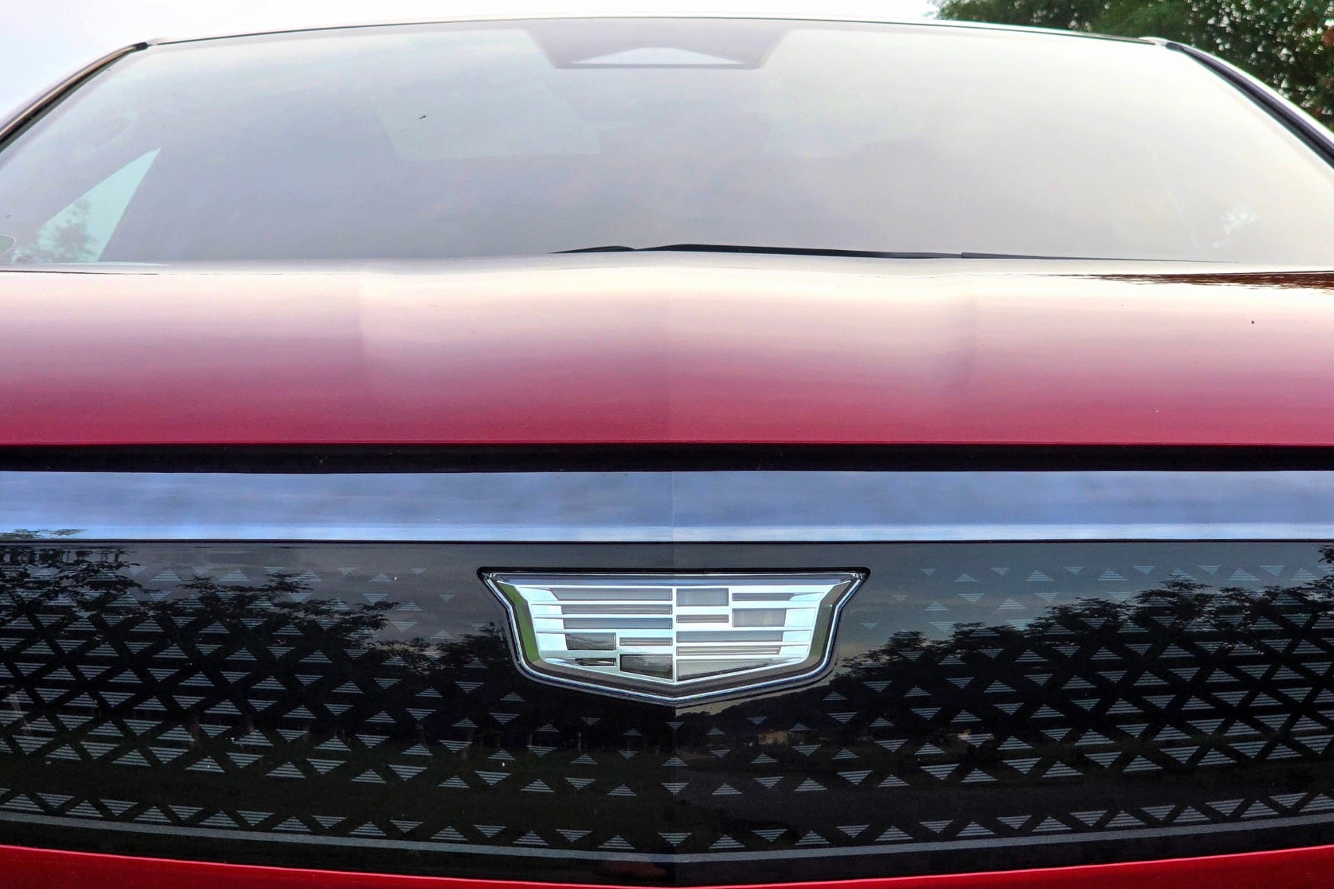 Cadillac Optiq (19)