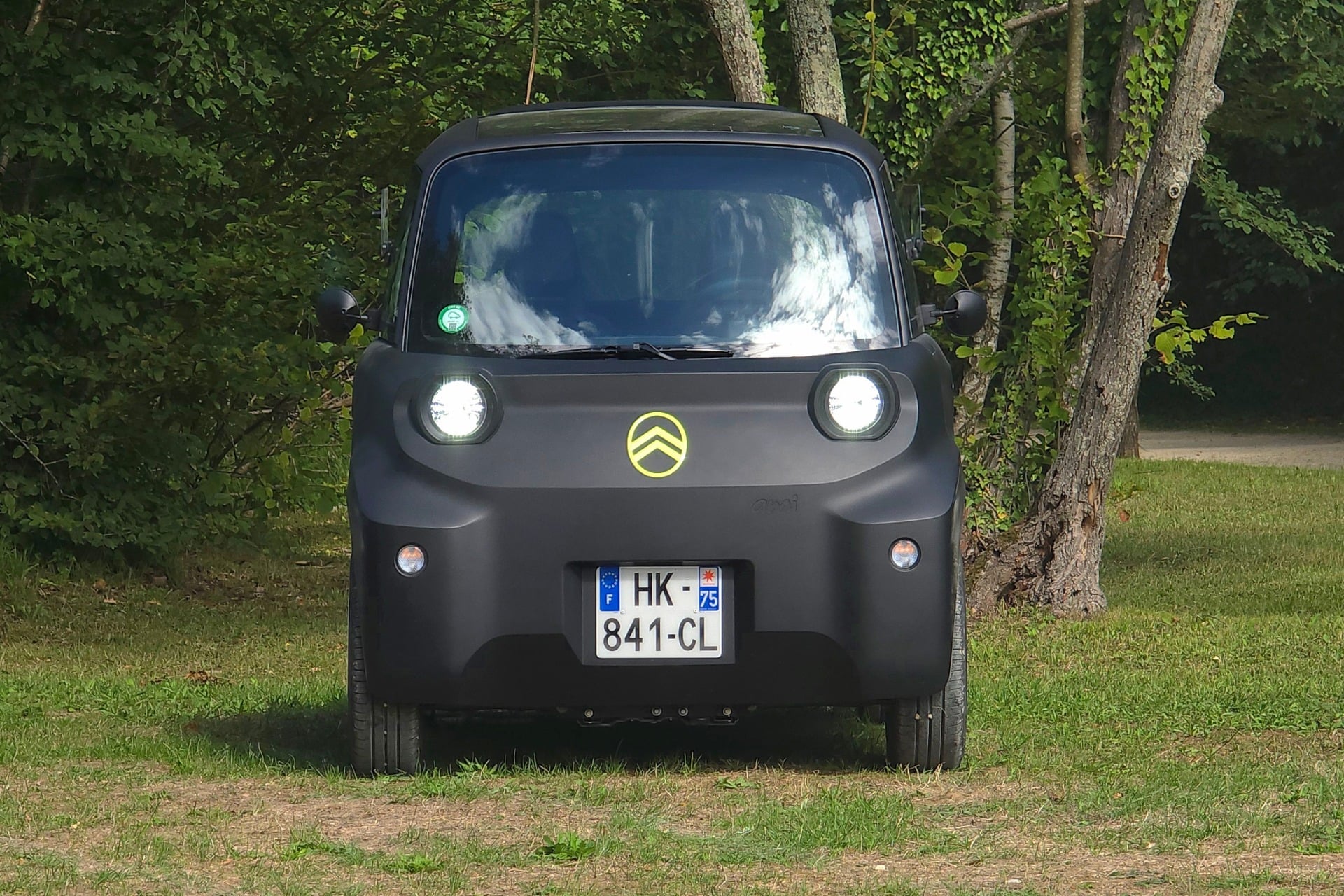 Citroen Ami Rip Curl (11)