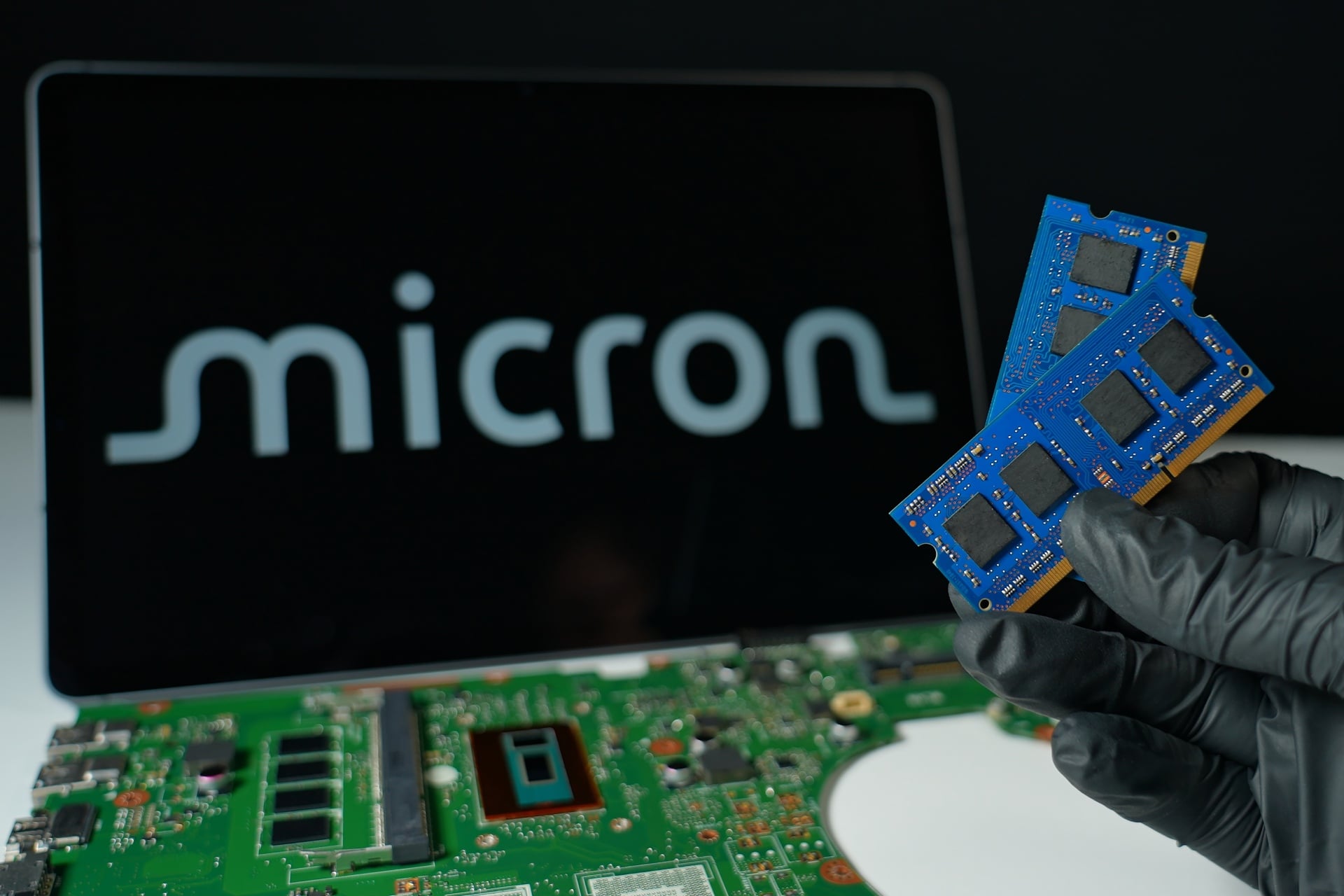 Micron Greve