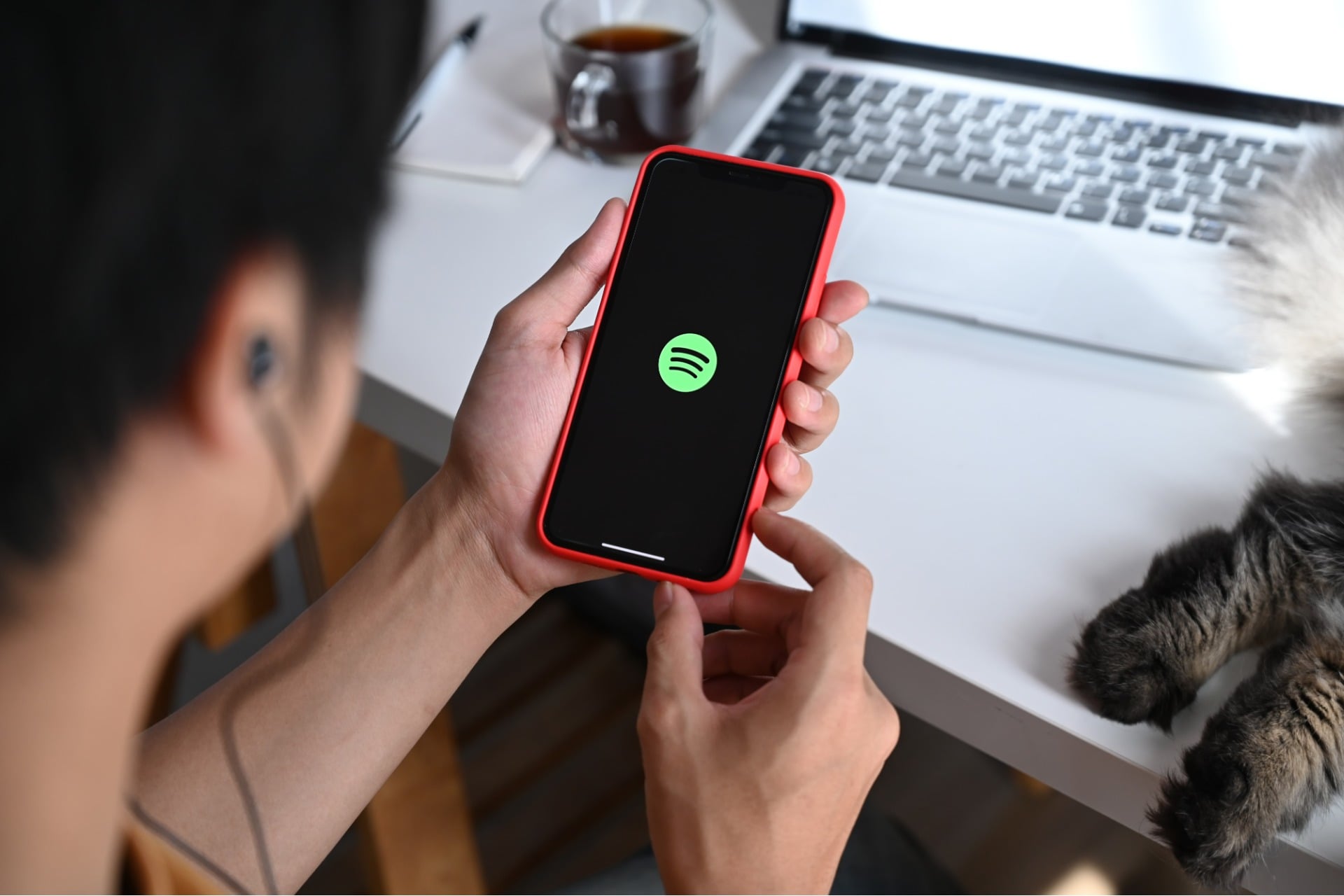 Spotify Premium Abonnement France Streaming Musique (2)