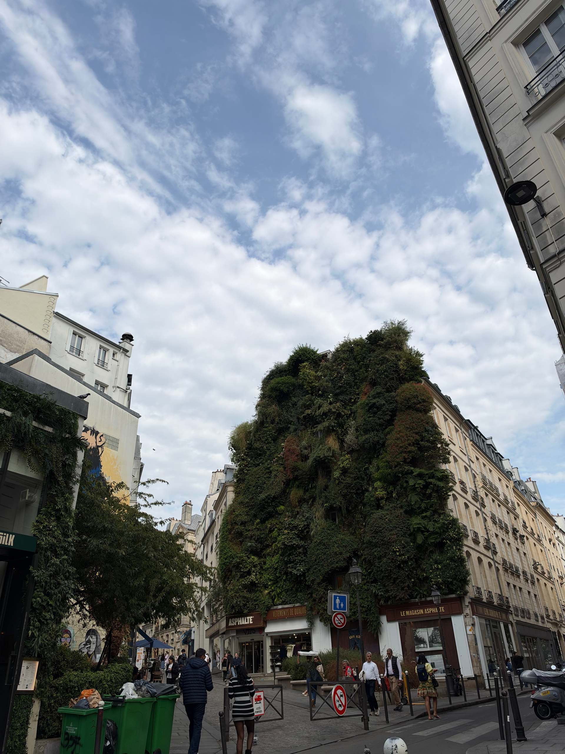Test iPhone 18 Pro Photo Ultra Grand Angle Mur Vegetal